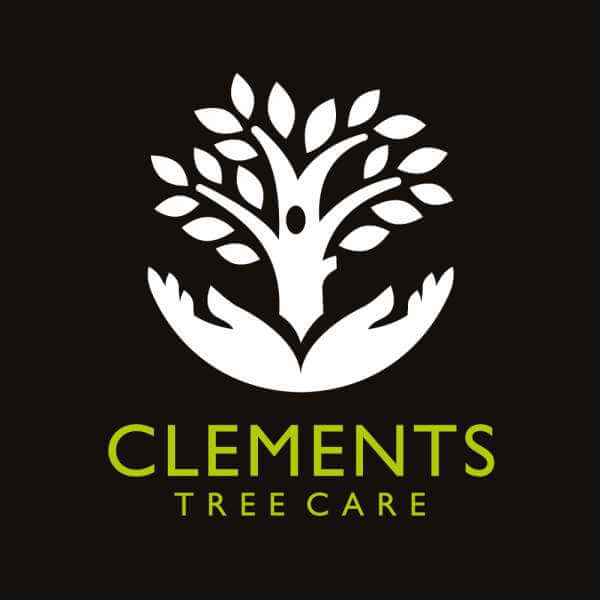 Clements Tree Care Tree Surgeons Arborists Tree Care Services